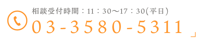 TEL:03-3580-5311