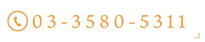 TEL:03-3580-5311